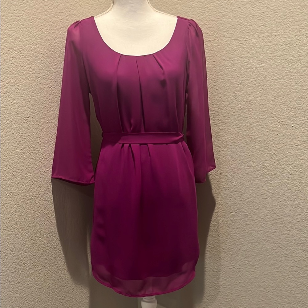 Goo Yoo | Sheer and There Dress (Magenta)